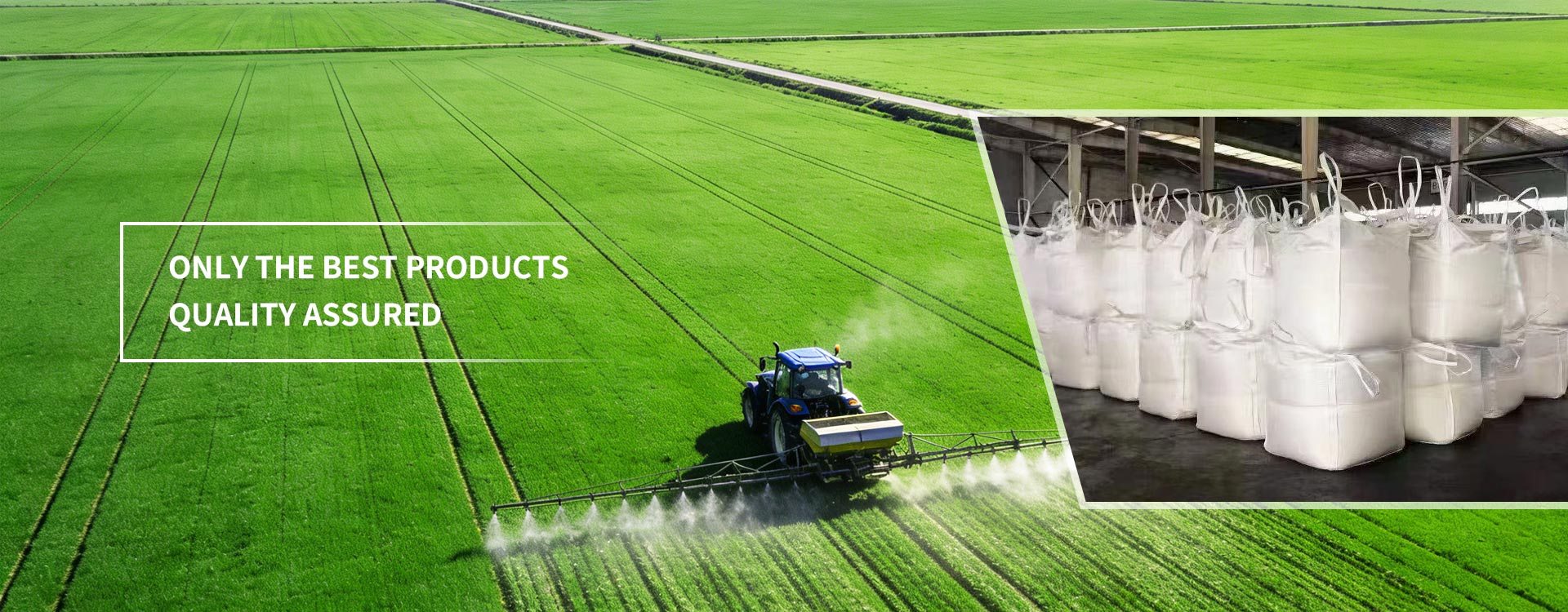 အရည်အသွေးအကောင်းဆုံး ထုတ်ကုန်များသာဖြစ်ကြောင်း အာမခံပါသည်။