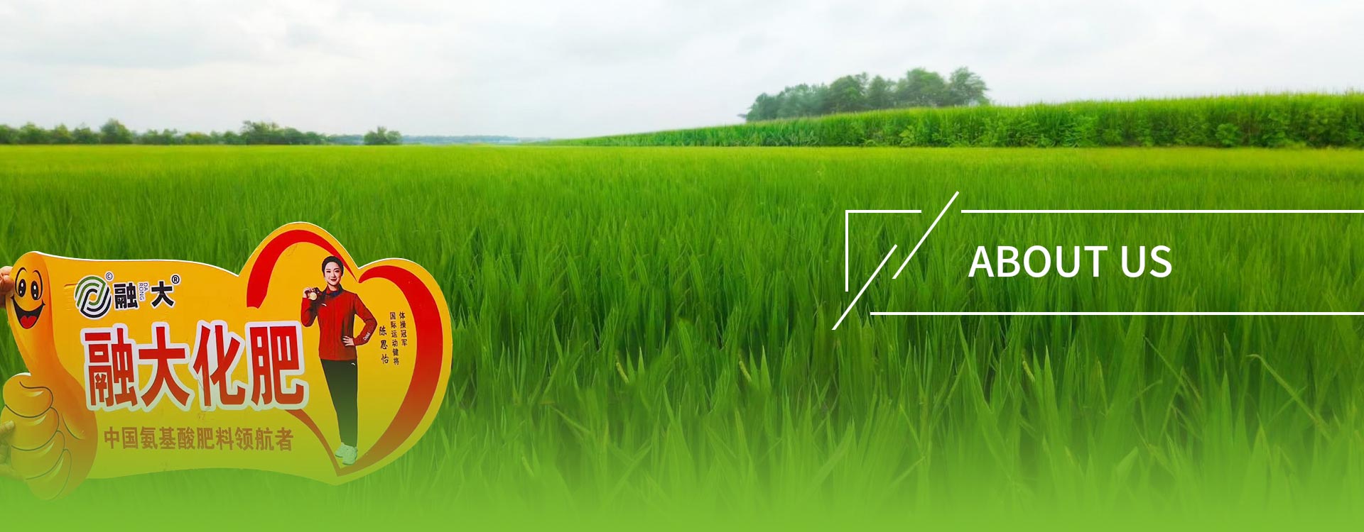 လင့်များ