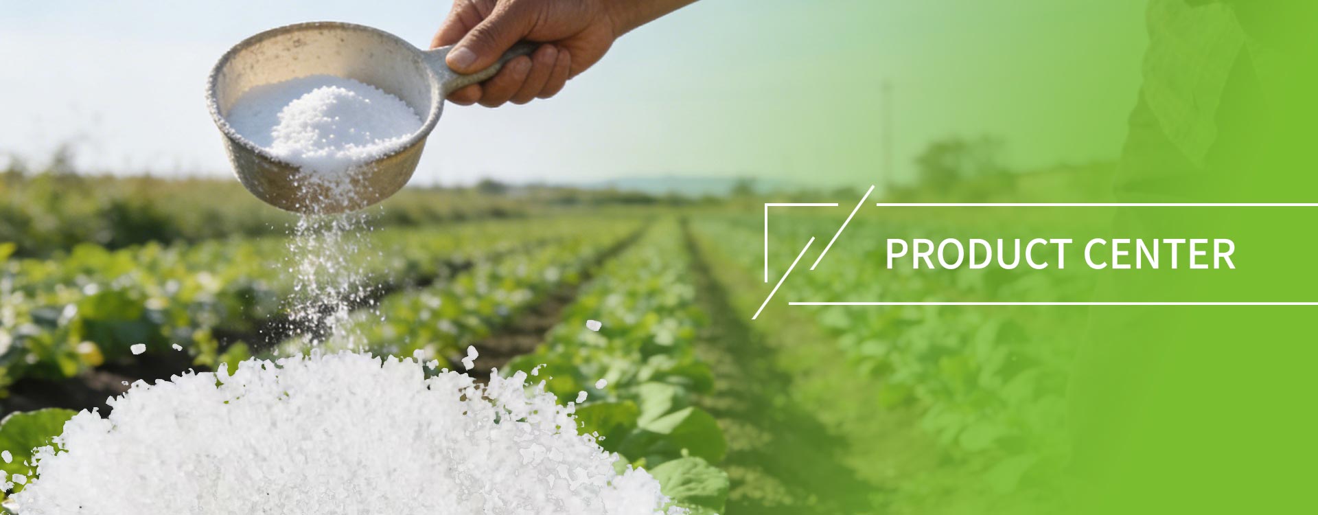 ထုတ်ကုန်များ